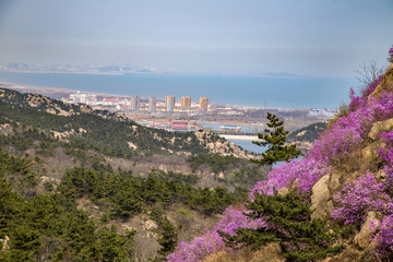 山东青岛黄岛大珠山珠山秀谷