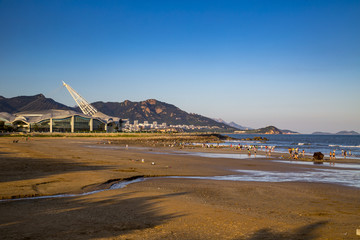 山东青岛石老人海水浴场