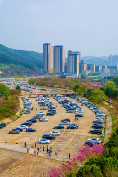 龙王塘水库河道与高层建筑俯视