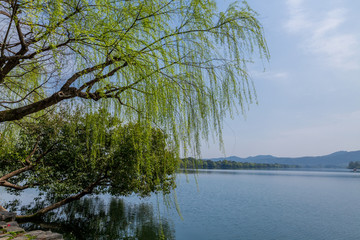 杭州西湖春天风光美景