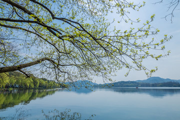 杭州西湖春天风光美景