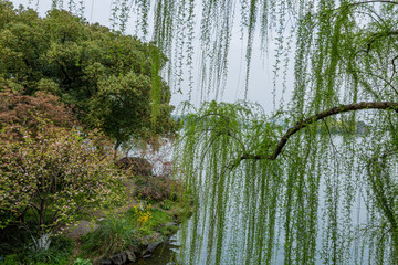 杭州西湖春天风光美景