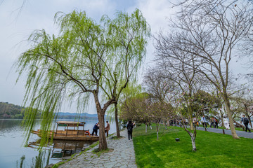 杭州西湖春天风光美景