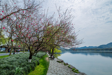 杭州西湖春天风光美景