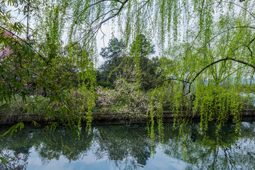 杭州西湖春天风光美景