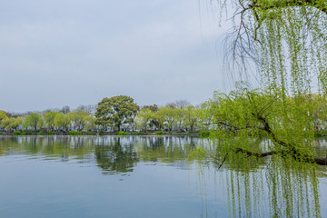 杭州西湖春天风光美景