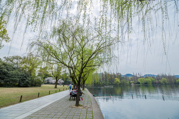 杭州西湖春天风光美景