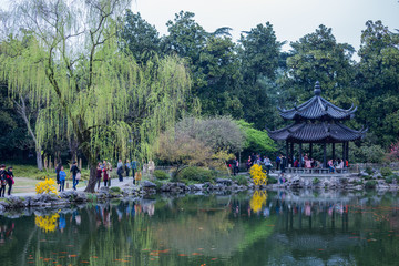 杭州西湖花巷观鱼春天风光