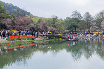 杭州西湖太子湾公园春天