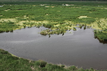 湿地