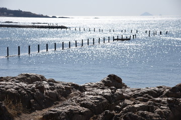 青岛海滨风光