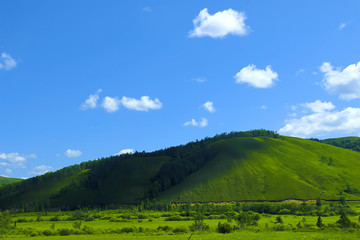 阿尔山风光