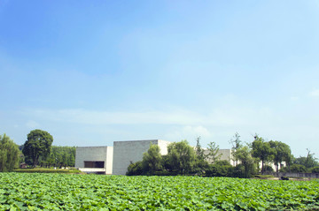杭州良渚博物馆