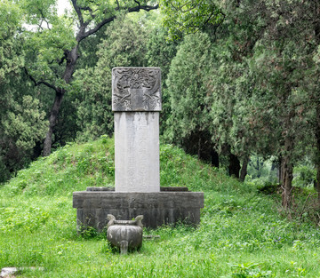 曲阜孔林旅游区