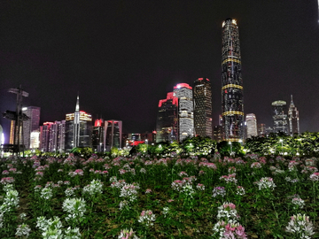 花城广场夜景