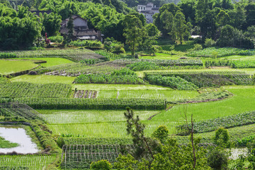 农田蔬菜地耕地