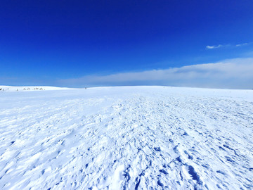 雪地