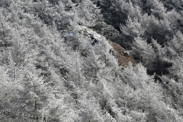 山东青岛冬季崂山巨峰风光