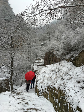 山东青岛崂山北九水滑溜口雾凇