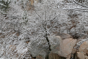 山东青岛崂山北九水滑溜口雾凇