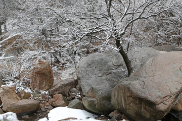 山东青岛崂山北九水滑溜口雾凇