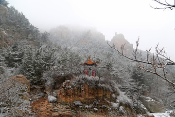 山东青岛崂山北九水滑溜口雾凇