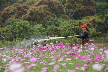 浇花的园丁