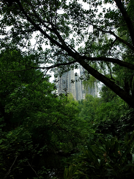 街头建筑风景