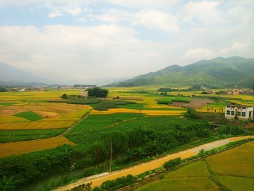 丰收的田野