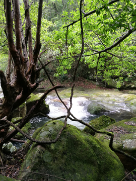 青山绿水