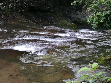 青山绿水