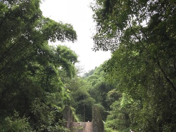 四川邛崃市石笋山