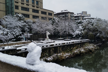 美丽的雪景