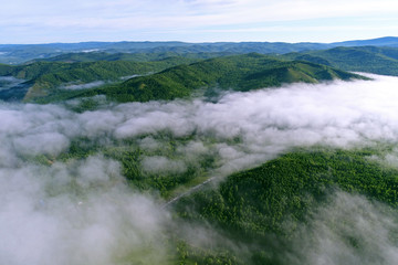 山林云海