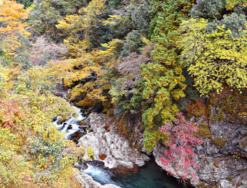 山林溪流