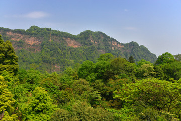 青城山龙居岗