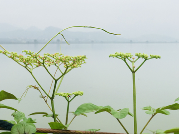 江南烟雨 湖光山色