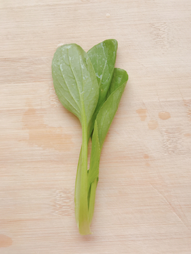 青菜 一颗青菜 小白菜