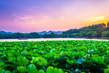 西湖夕阳