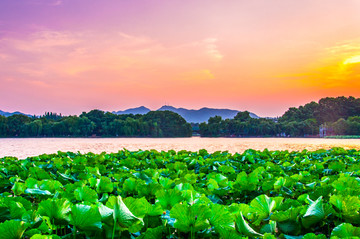 西湖夕阳