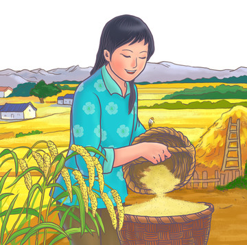 小米谷子插畫