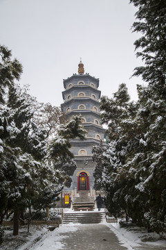 山东青岛湛山寺植物园雪景