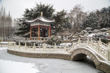 山东青岛湛山寺植物园雪景