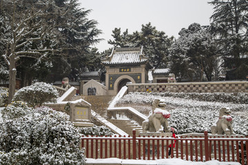 山东青岛湛山寺植物园雪景