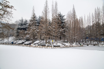 山东青岛湛山寺植物园雪景