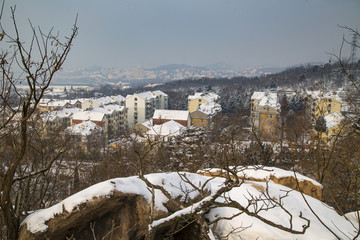 山东青岛湛山寺植物园雪景