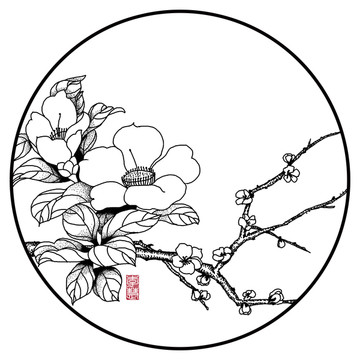 黑白线描花枝