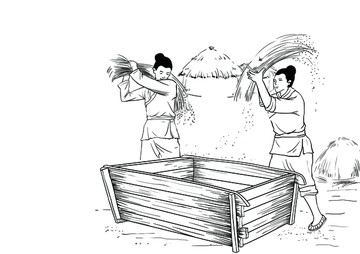 五谷雜糧手繪插畫(huà)
