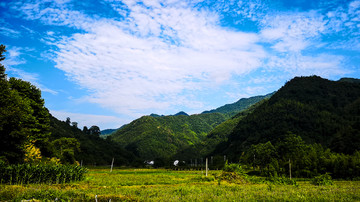 历坝田野