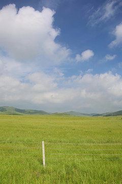 蓝天白云下的草原牧场